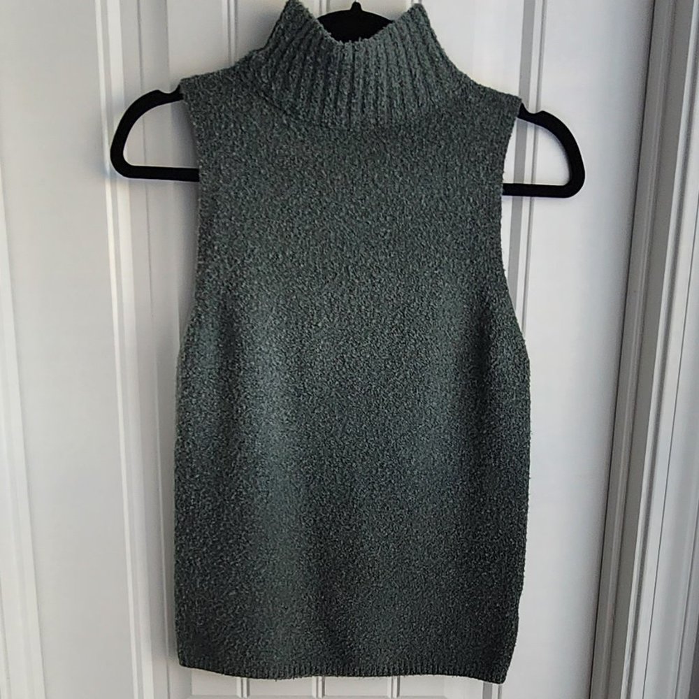 Express sleevless sweater. Never worn.